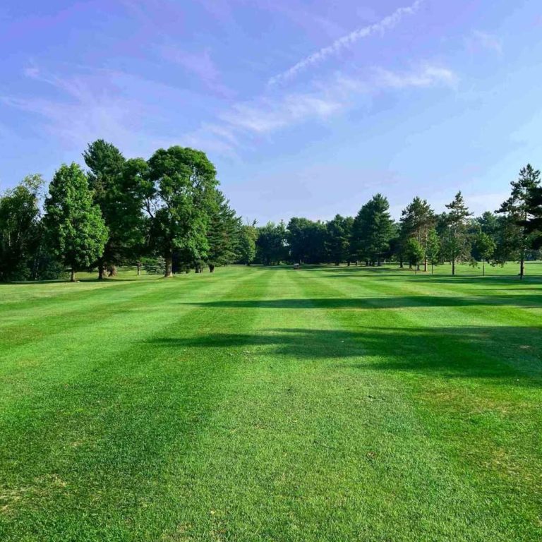 Taylor's Amacoy Golf